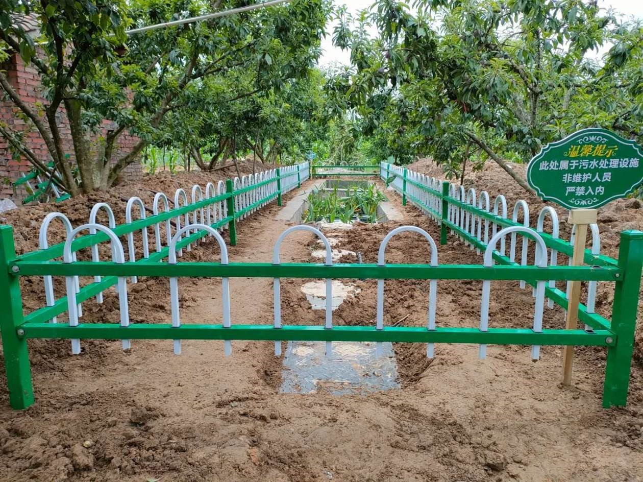 BY15-JZ80（小型餃子機(jī)）