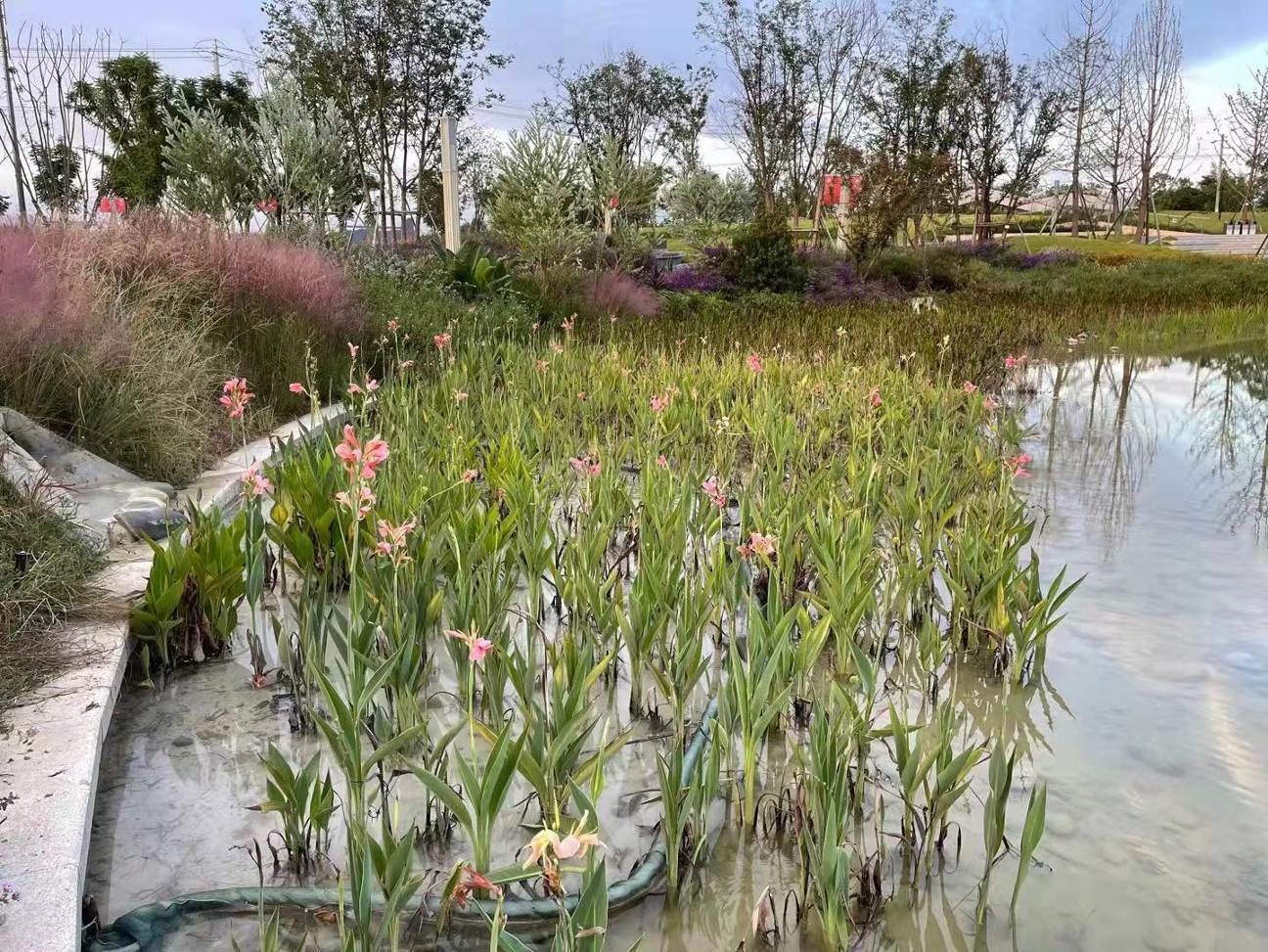 BY15-JZ90（小型餃子機）