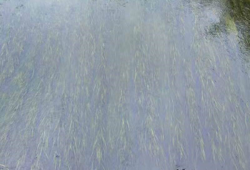 發(fā)明專(zhuān)利證書(shū)