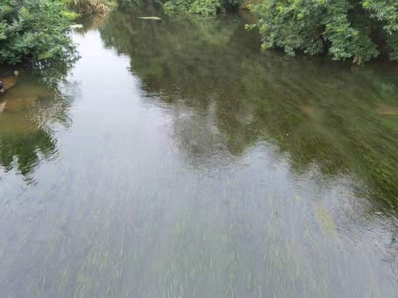 實(shí)用新型專(zhuān)利證書(shū)